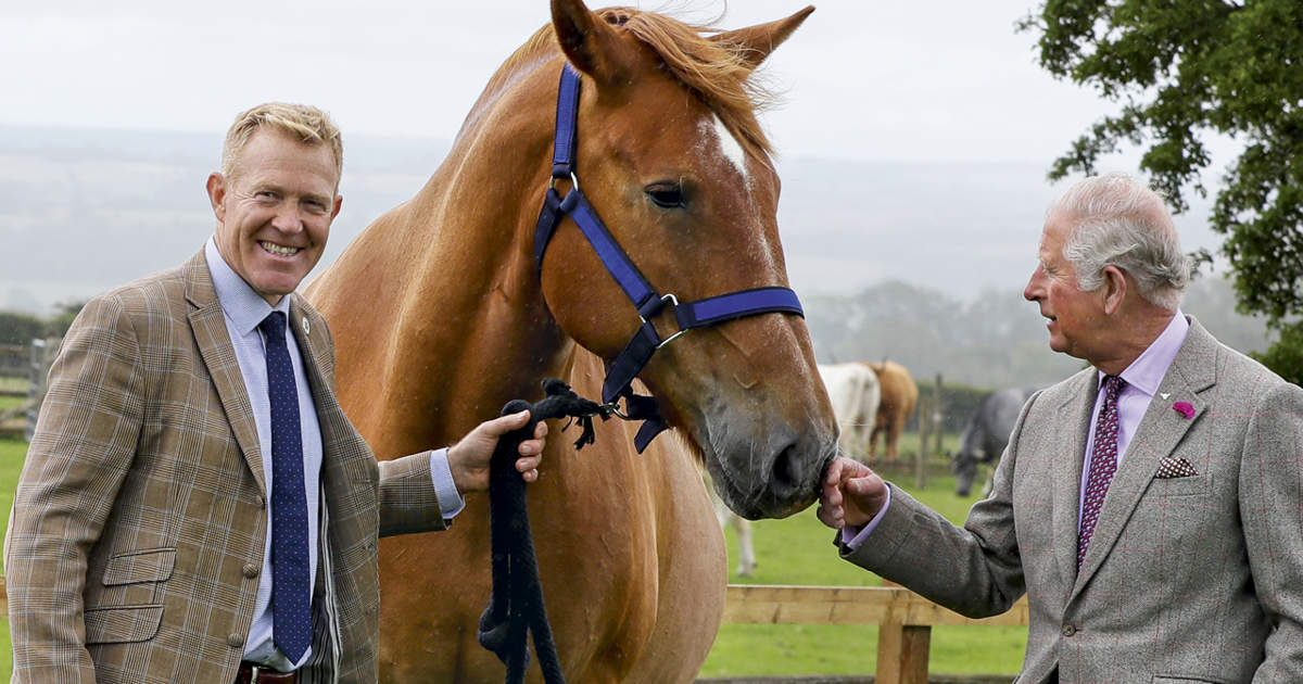 Gentle Giants: Suffolk Punch Horses